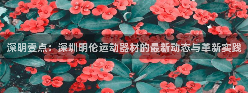 fb体育娱乐首页网站大全：深明壹点：深圳明伦运动器材