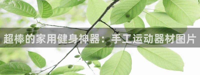 德国fb体育集团：超棒的家用健身神器：手工运动器材图片