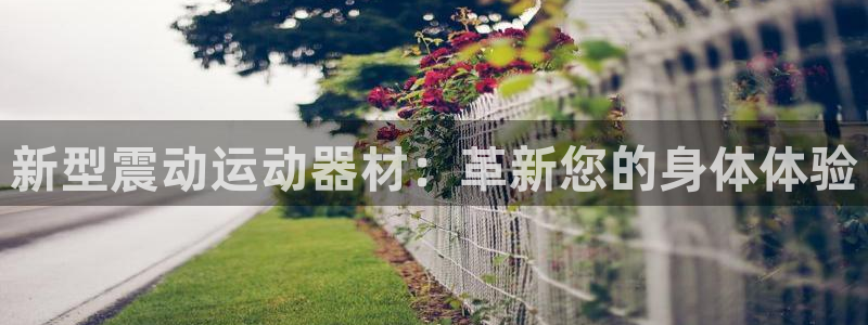 fb体育招商电话是多少啊：新型震动运动器材：革新您的身体体验