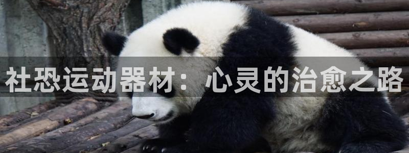 fb体育娱乐平台