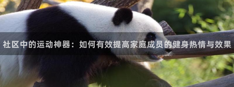 fb体育娱乐网站：社区中的运动神器：如何有效提高家庭成员的健