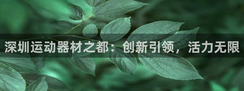 fb体育招商电话地址查询