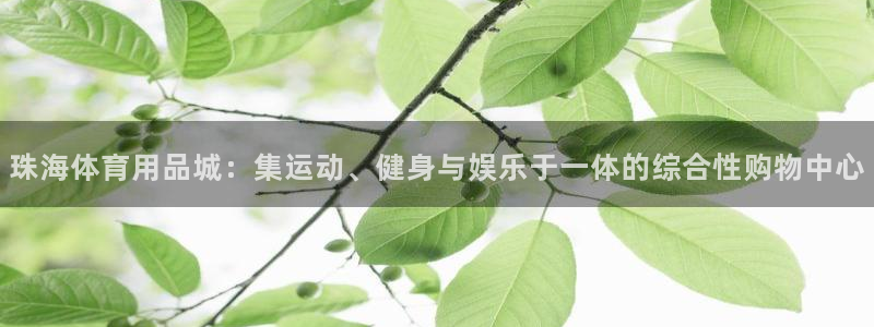 fb体育联系电话：珠海体育用品城：集运动、健身与娱乐于一体的