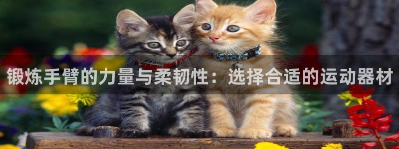 fb体育平台注册要钱吗是真的吗：锻炼手臂的力量与柔韧