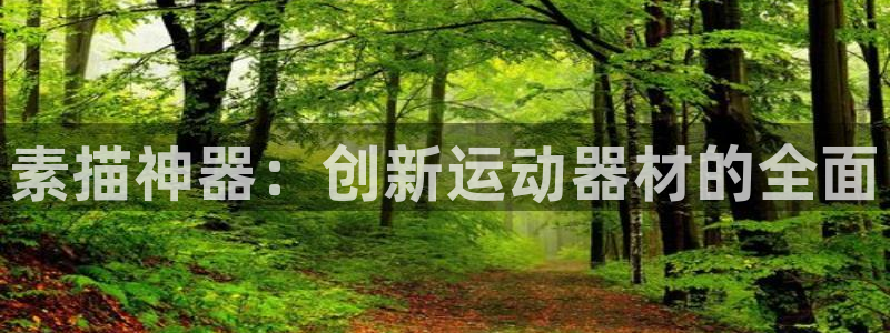 fb平台体育：素描神器：创新运动器材的全面