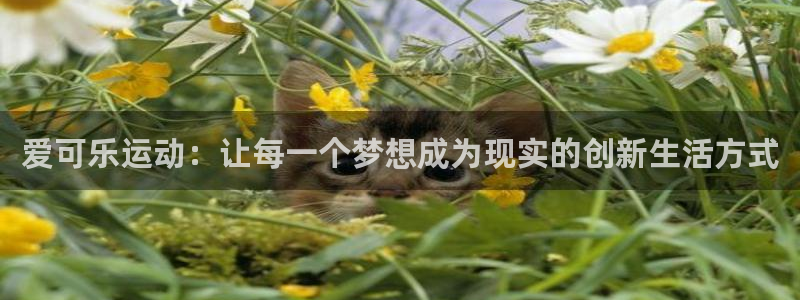 fb体育官方客服电话：爱可乐运动：让每一个梦想成为现实的创新