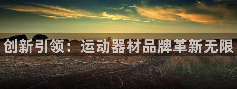 fb体育五金厂：创新引领：运动器材品牌革新无限