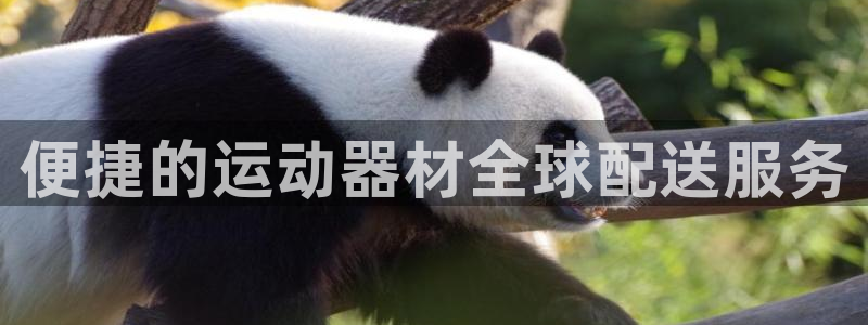 海南fb体育：便捷的运动器材全球配送服务