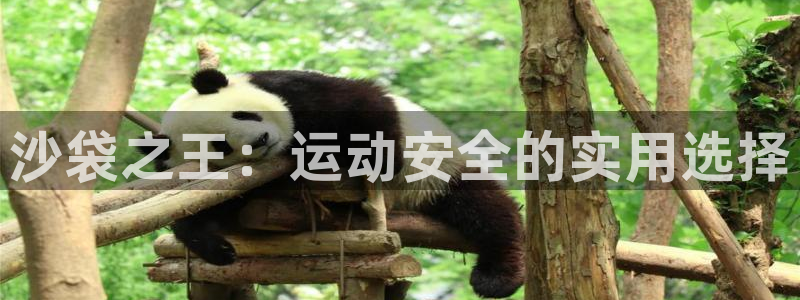 fb体育娱乐网站