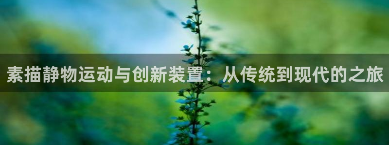 fb体育招商电话号码查询是多少：素描静物运动与创新装
